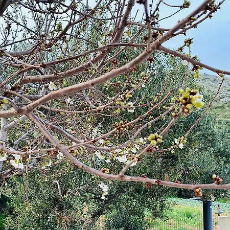 Casa Loro Mit Meerblick Und Privatem Pool Trogir