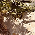 Casa Loro Mit Meerblick Und Privatem Pool Daire Trogir
